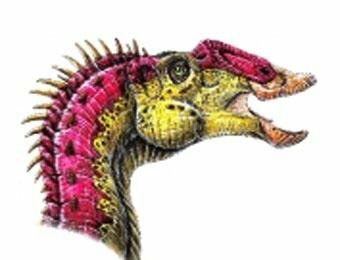 В США обнаружены останки гигантского динозавра с 800 зубами