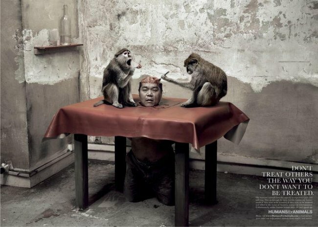 Жестокая креативная реклама в защиту животных