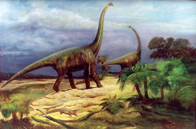 Все крупные динозавры были теплокровными