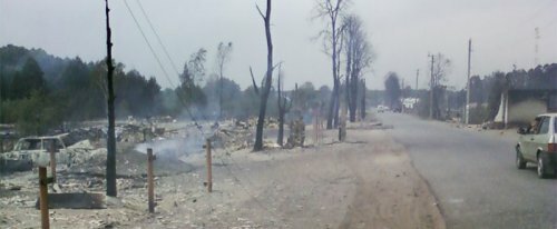 Пожары превратили экосистемы Центральной России в пустыню