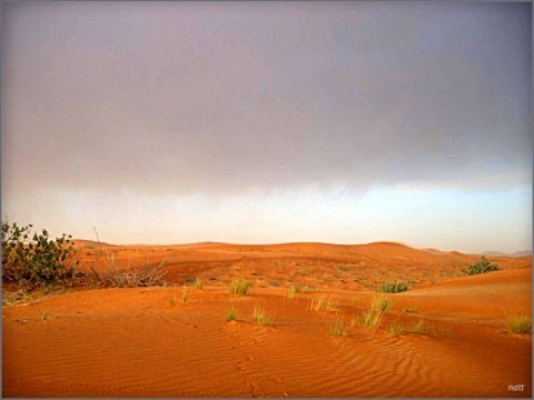Ученые на основе советских разработок смогли вызывать дожди в пустыне