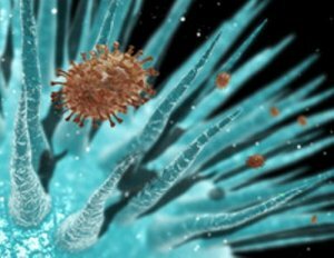 Ученые определили, что наночастицы диоксида титана способны разрушать вирус ...