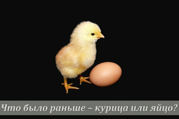 Что было раньше – курица или яйцо? Ученые нашли ответ