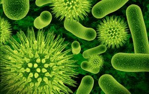 Бороться с бактериями скоро будет нечем