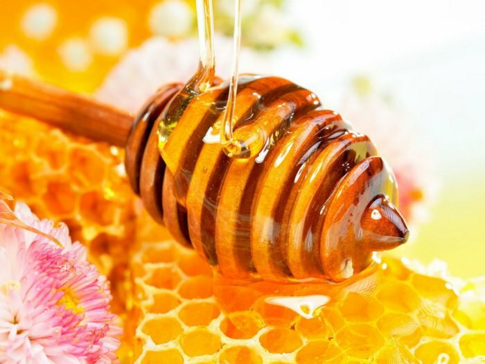 Мед – ценный и полезный продукт