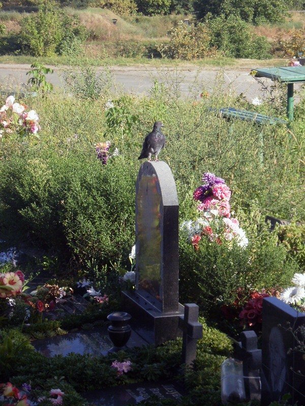 Украинские власти разрешили превращать тела умерших в компост