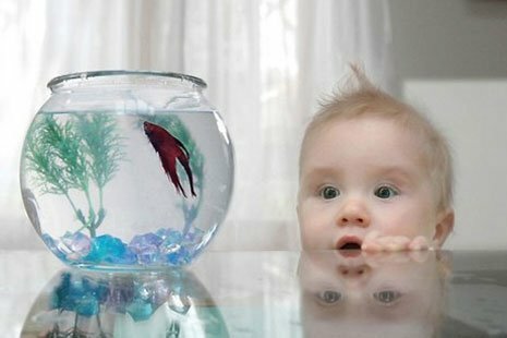 В Москве годовалый ребенок утонул в аквариуме