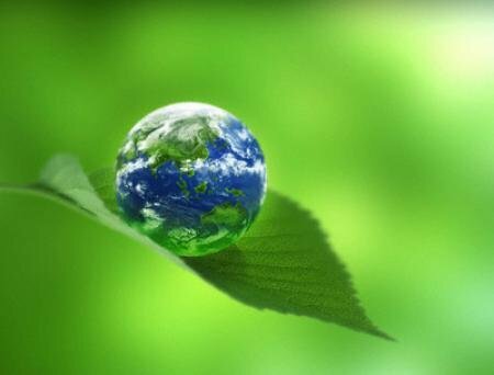 Зеленая планета: экобаланс природы и человека