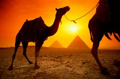 Незабываемый Египет