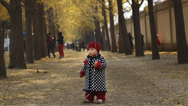 Китайские ученые разработали технологию, позволяющую выбрать при зачатии самый умный эмбрион