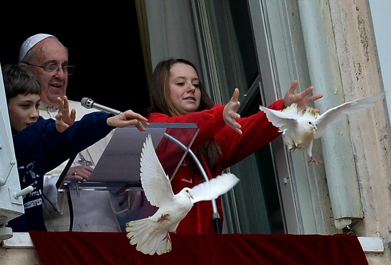 Плохое предзнаменование: выпущенных Папой Римским голубей заклевали ворона и чайка