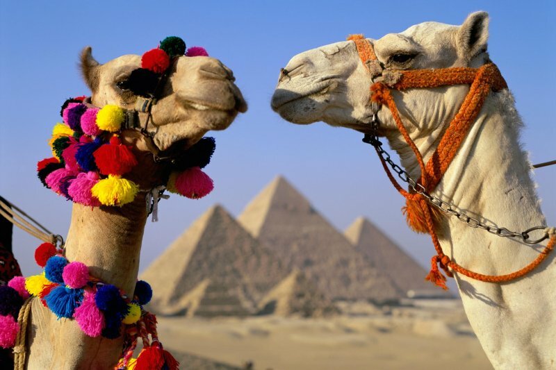 Египет - сказочное место