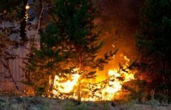 Режим ЧС введён в Тольятти из-за крупного пожара