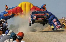 WRC: чем мир ралли отличается от остального четырехколесного бестиария