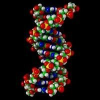 Генетики создают минимально необходимый для жизни набор генов