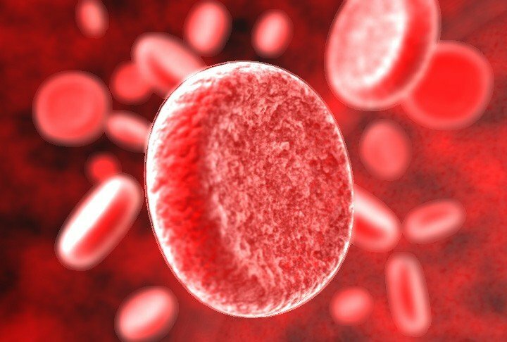 Ученые США обнаружили две новые группы крови