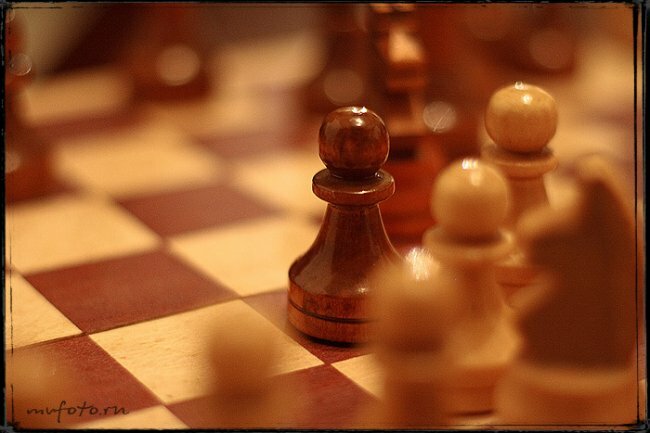 Шахматы могут быть представлены на Играх-2014 в Сочи